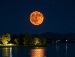 Strawberry Moon 2025: Fakta Unik dan Waktu Terbaik untuk Menyaksikannya